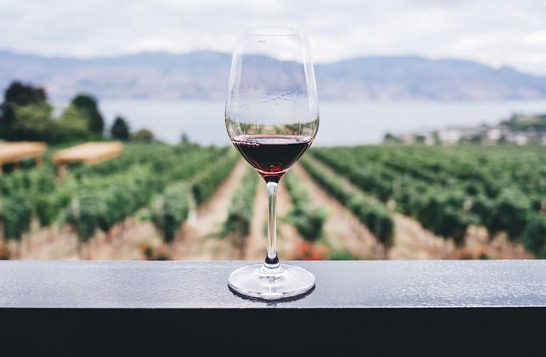 Pro vína z&nbsp;Margaux není typická síla a koncentrace, ale spíše elegance, rafinovanost a výrazná aromatika